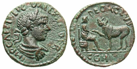 sev Alex asclepius.jpg