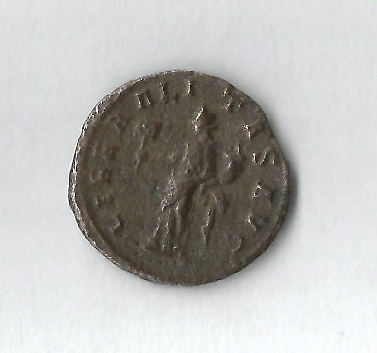 SevAlex R.jpg