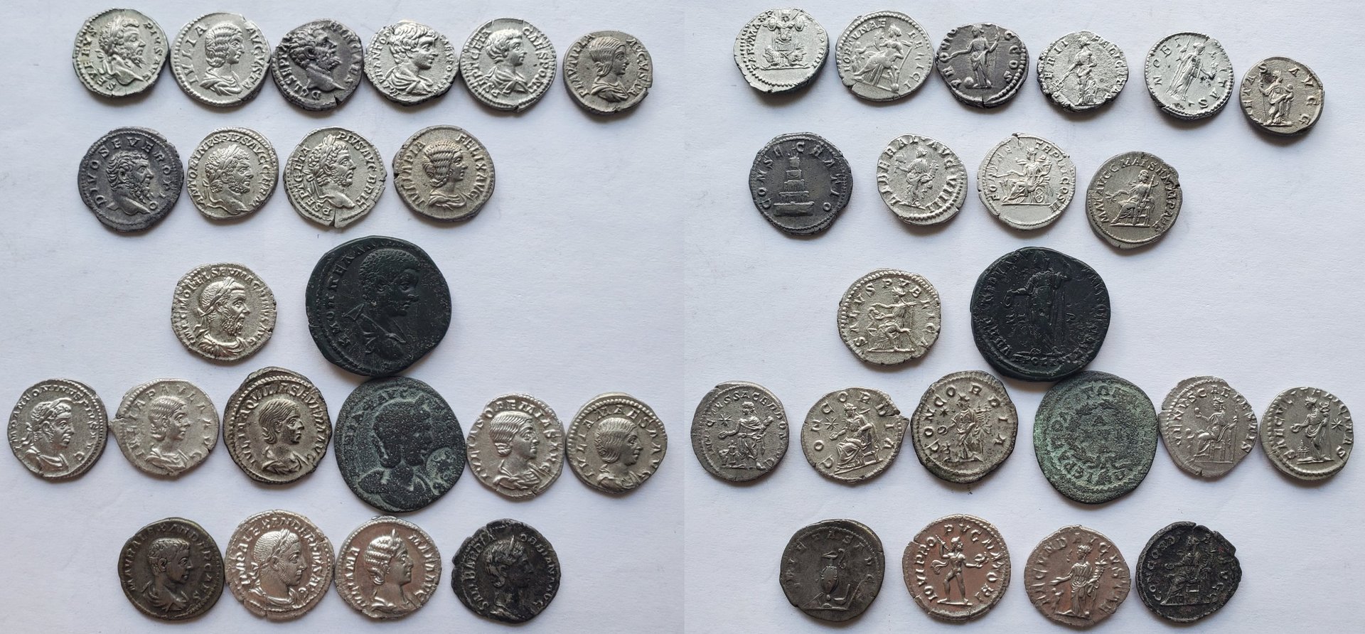 Severan collection.jpg
