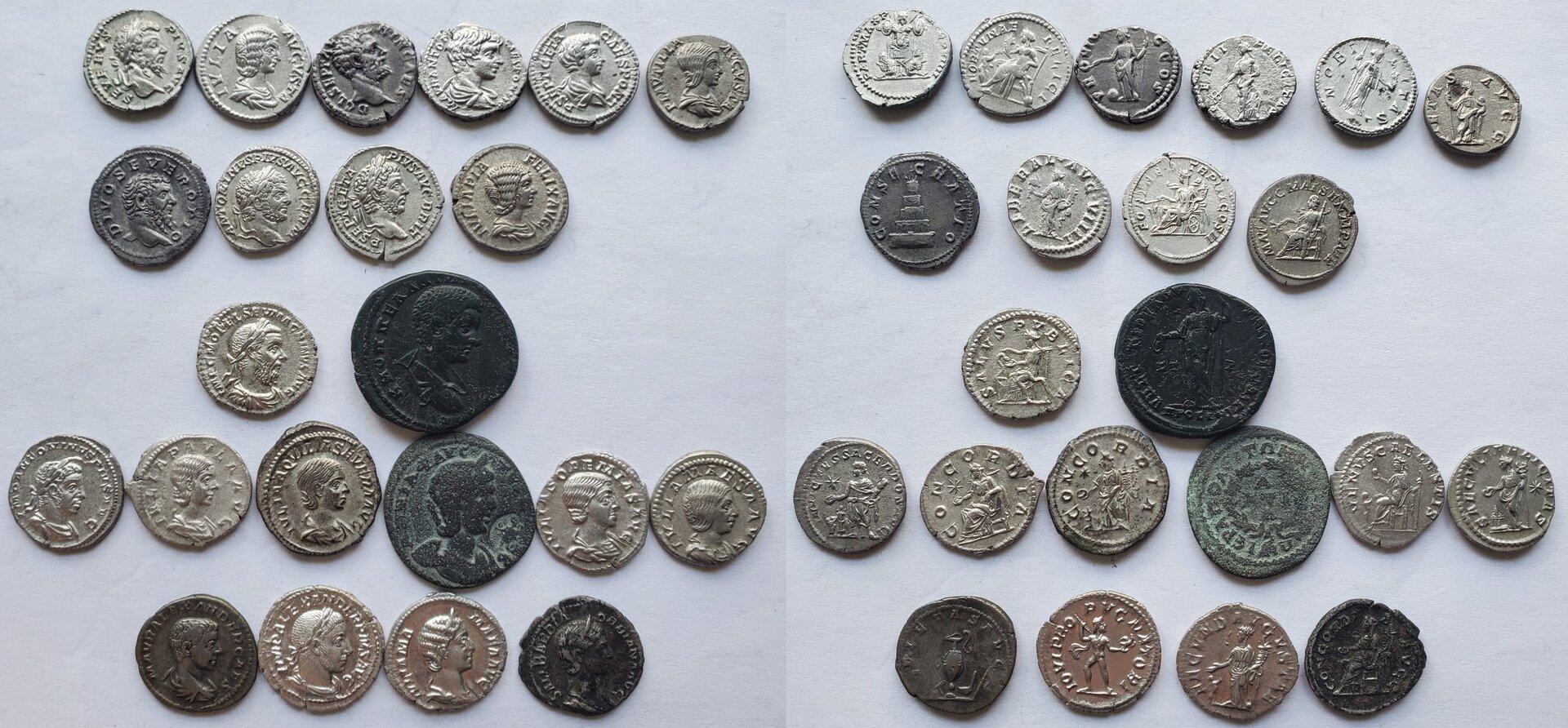 Severan collection.jpg