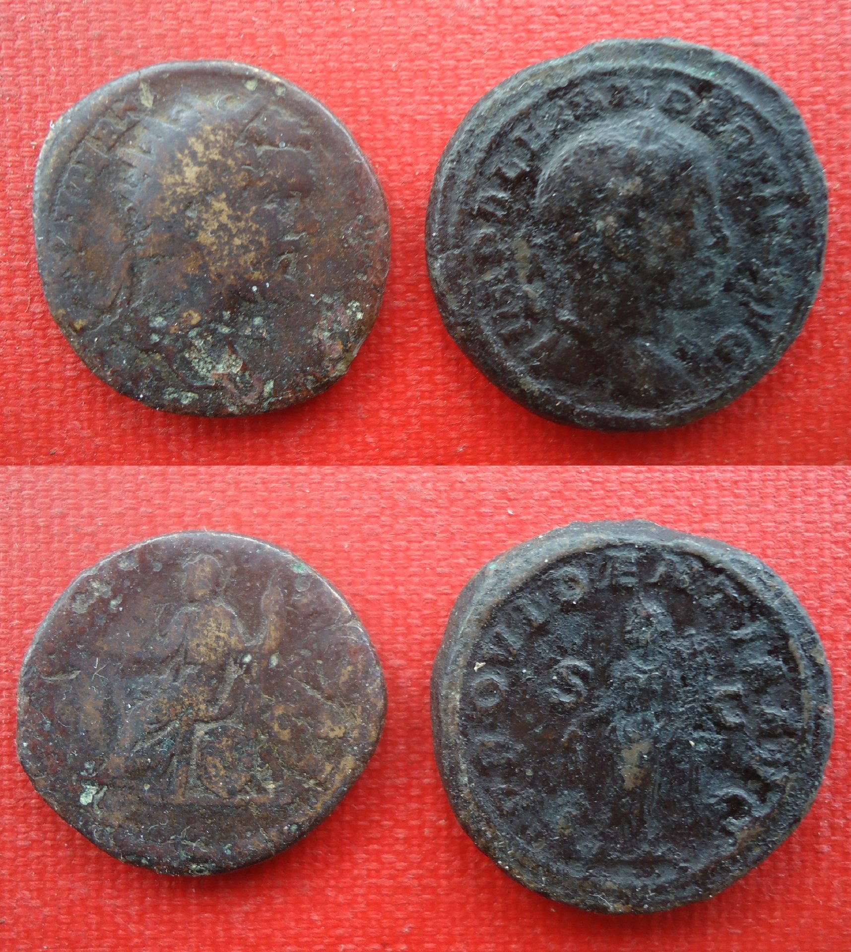 Severan Middle Bronze AE Dec 2019 (0x).jpg