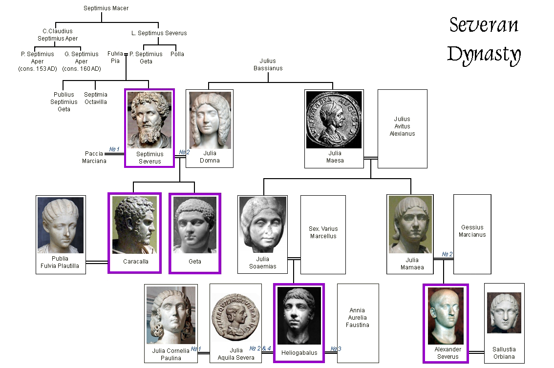 Severan_dynasty_family_tree.jpg
