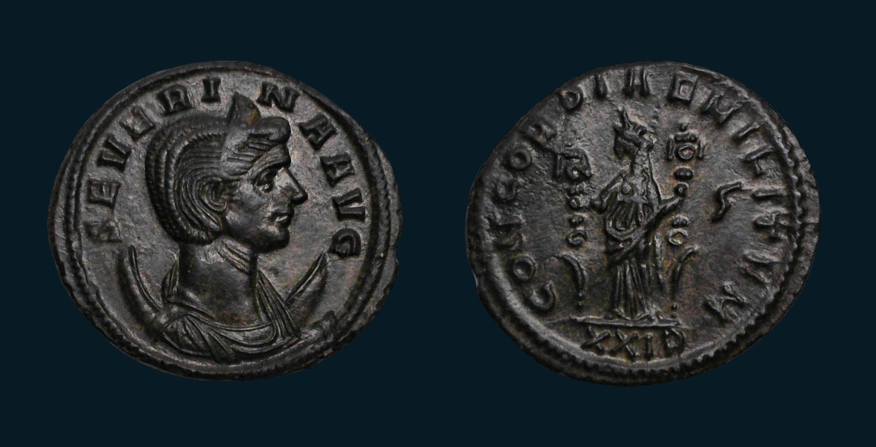 Severina Concordia Blu.jpg