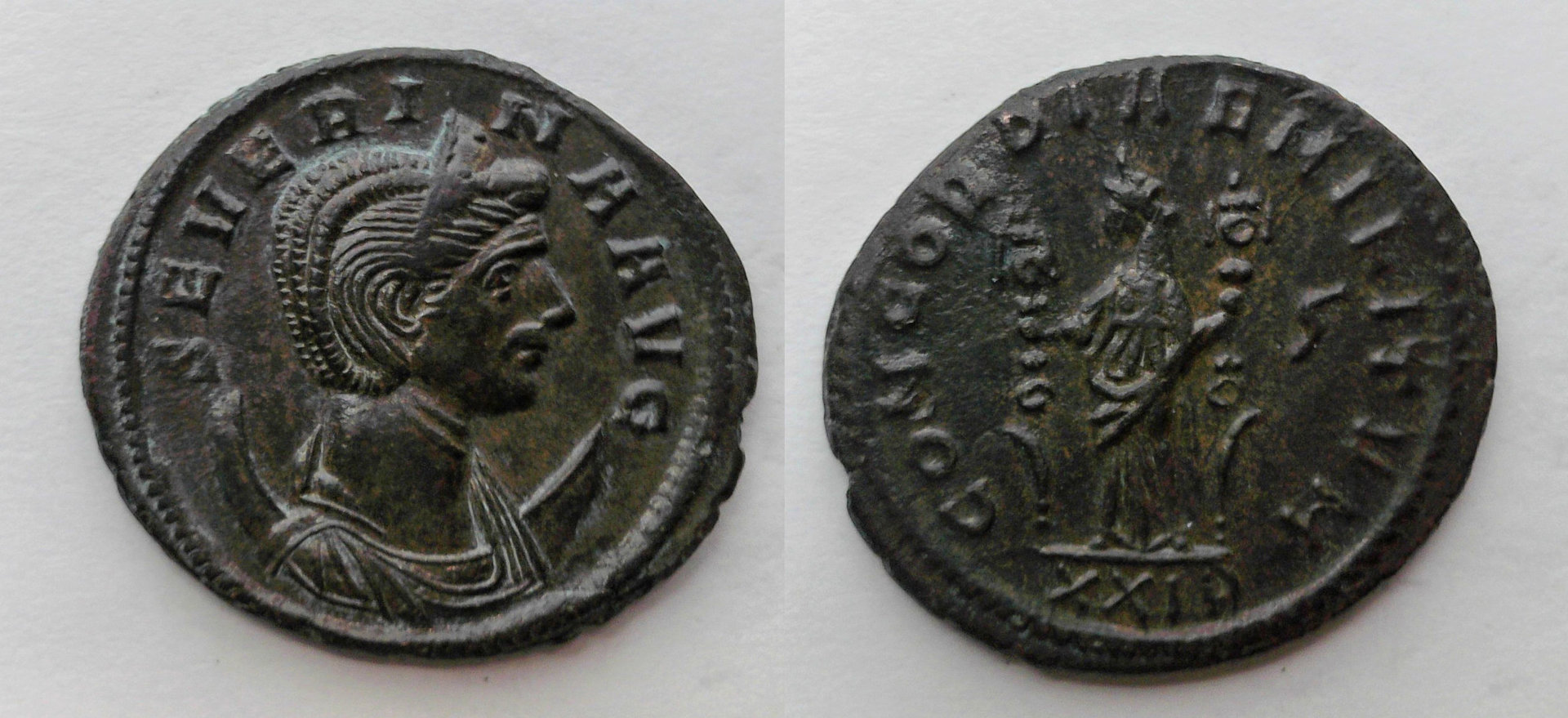 Severina Concordia.jpg