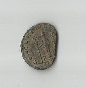 Severina R      Ric 20-P.jpg