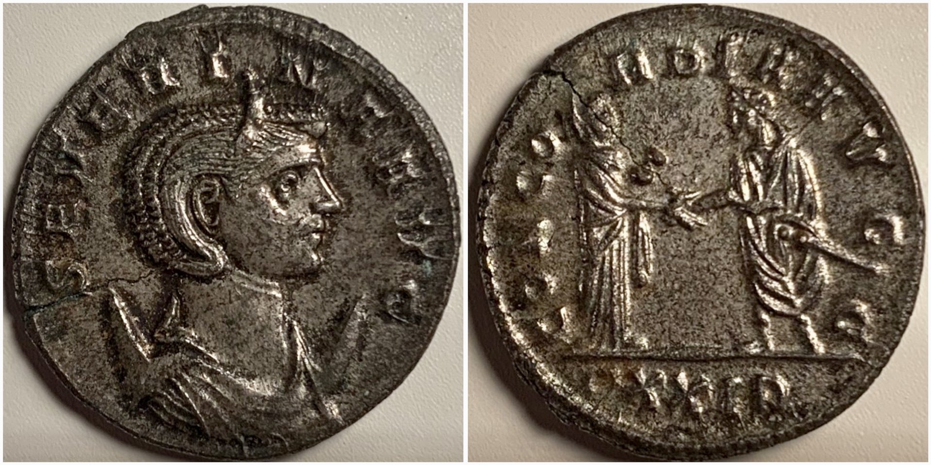 SeverinaRIC3.jpg