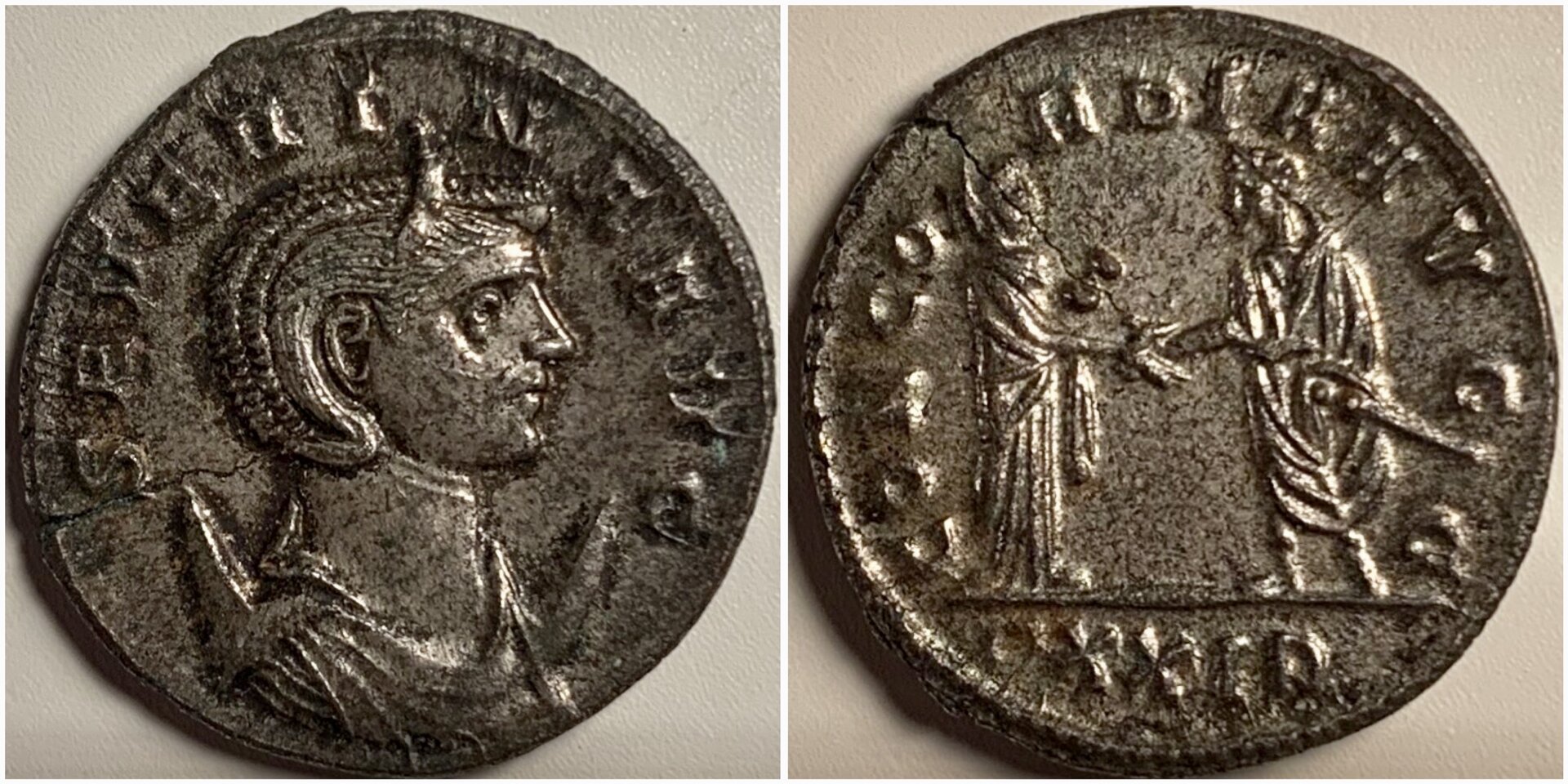 SeverinaRIC3.jpg