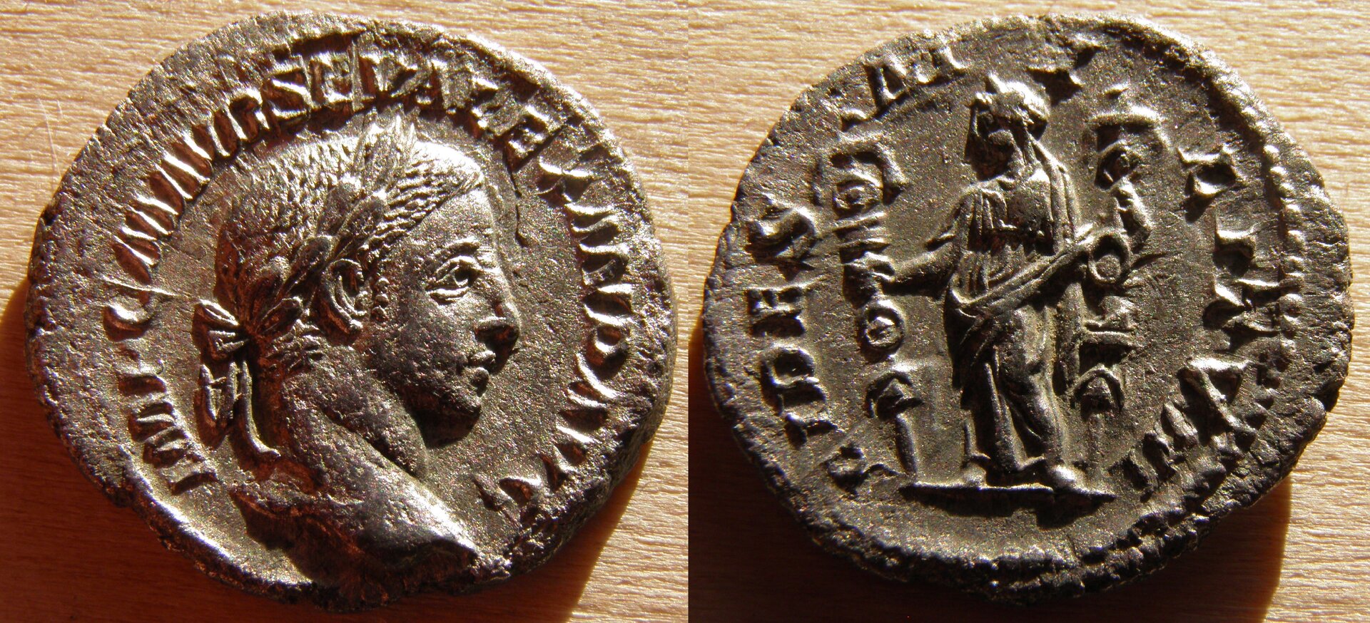 severus alex4.jpg