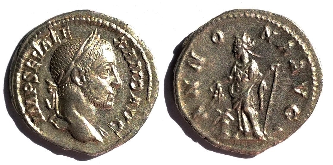 Severus Alexander ANNONA AVG denarius.jpg