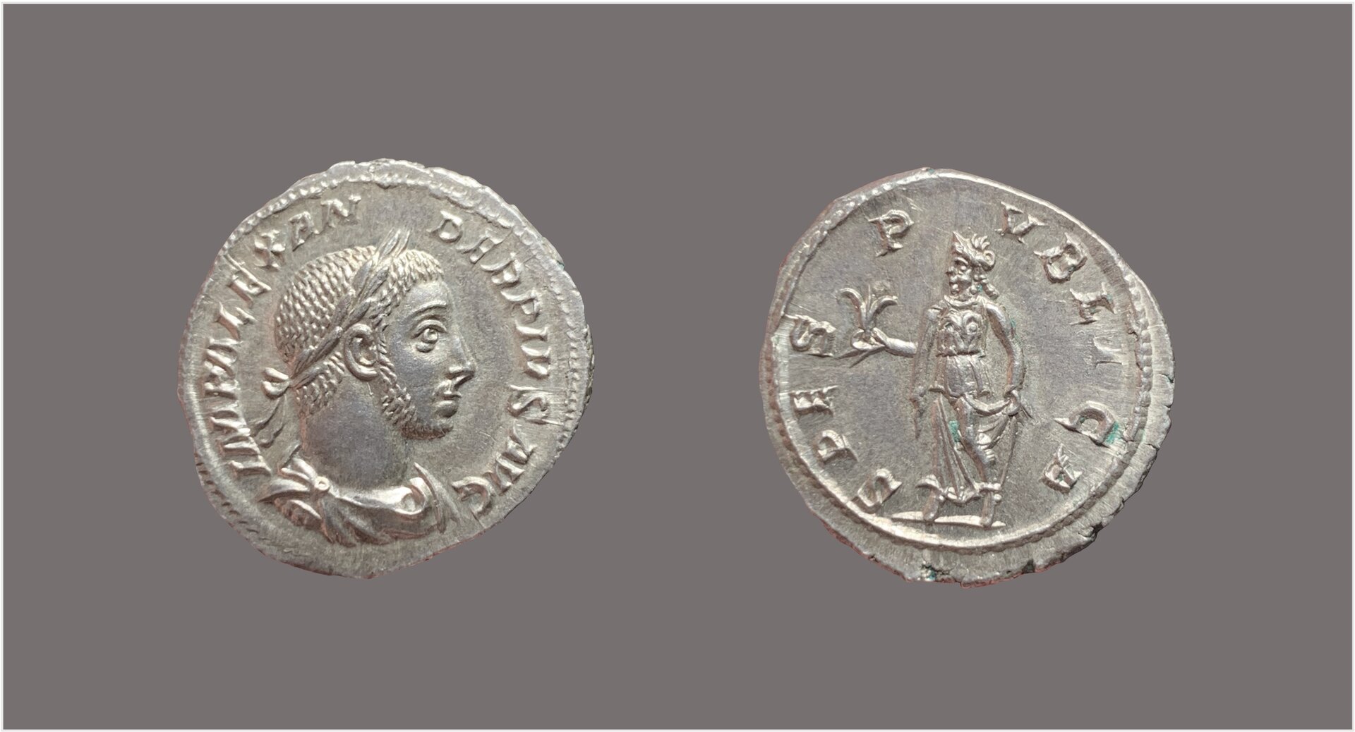 Severus Alexander denarius.jpg