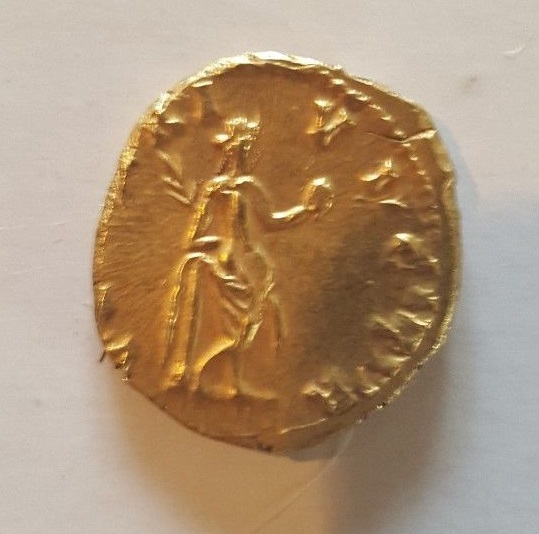 Severus Alexander - gold Venus Butt not me Mar 2018a.jpg
