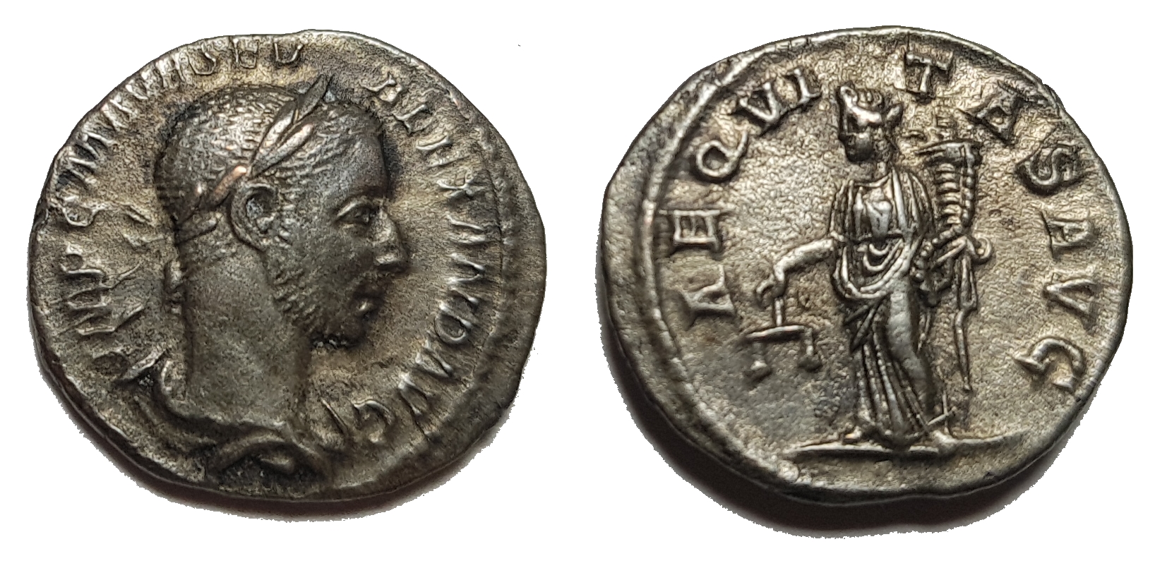 SEVERUS ALEXANDER.jpg