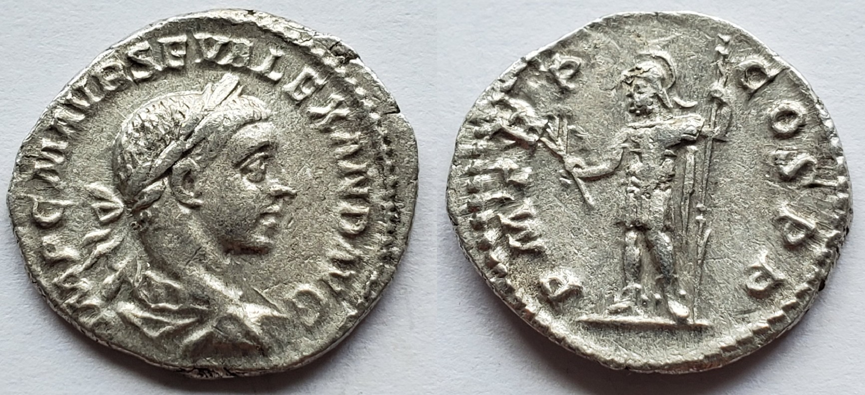 Severus Alexander marti pacifero first year.jpg