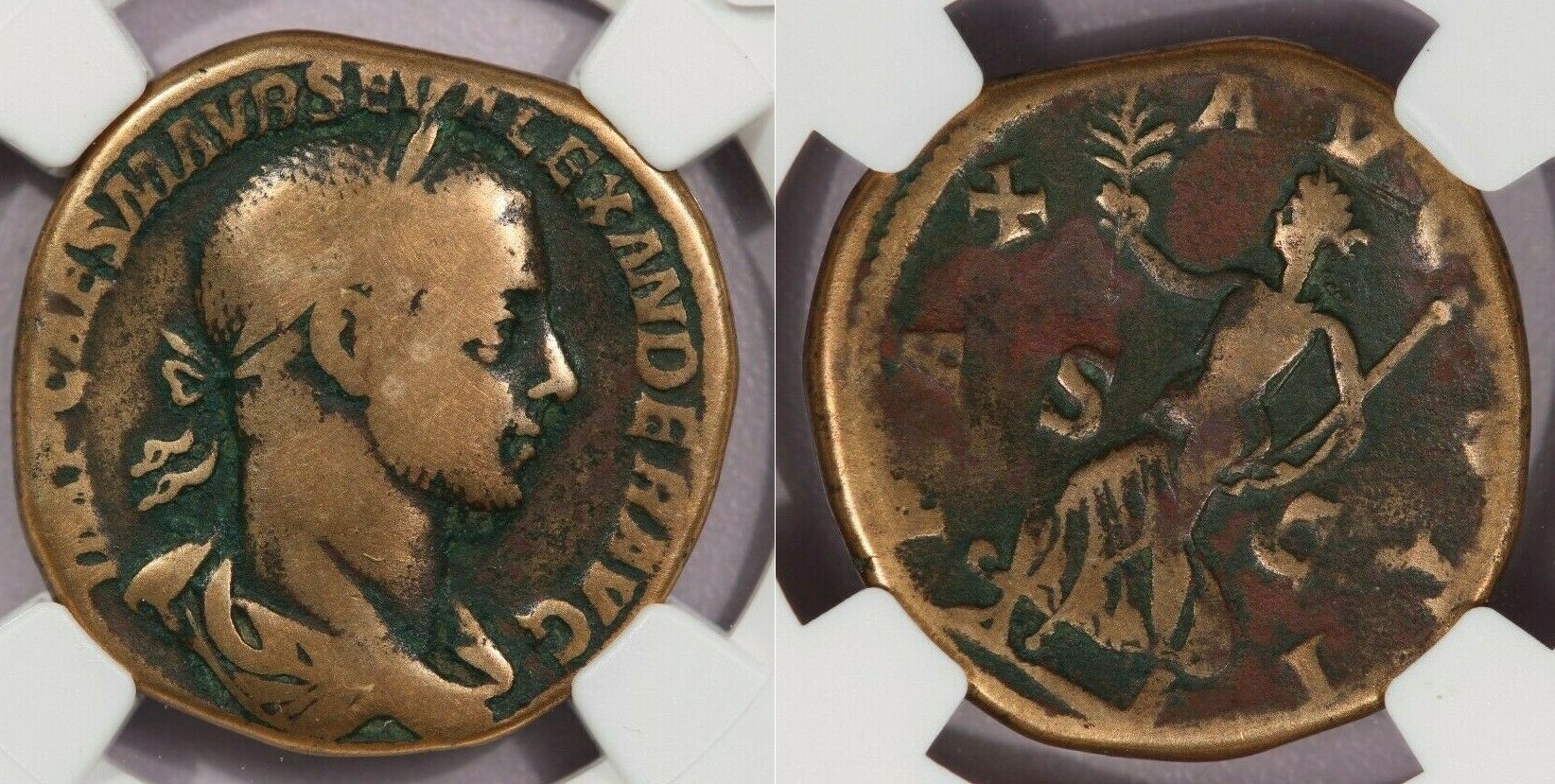 Severus Alexander - Sest. PAX AVGVSTI slabbed Apr 2021 seller pic0.jpg