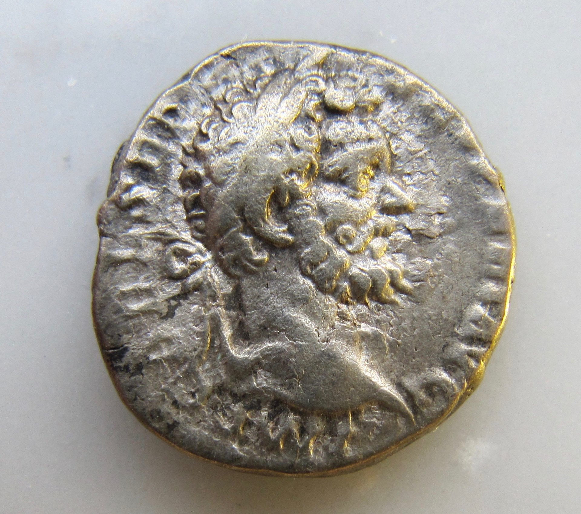 Severus denarius-Leg Ital-Obv - 1.jpg
