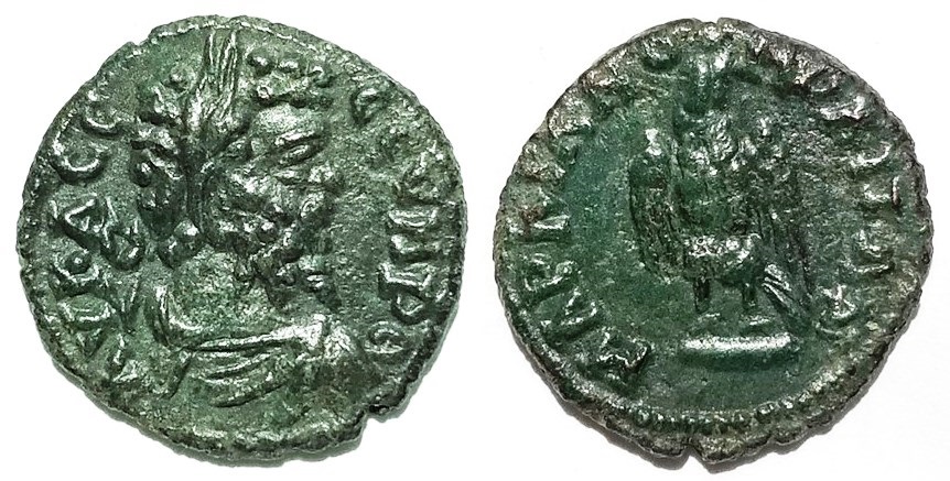 Severus Markianopolis Eagle.jpg