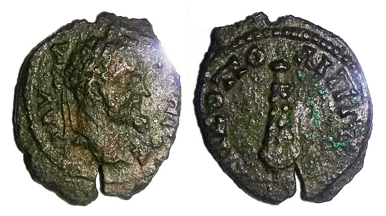 Severus Nicopolis Club AE 16.jpg