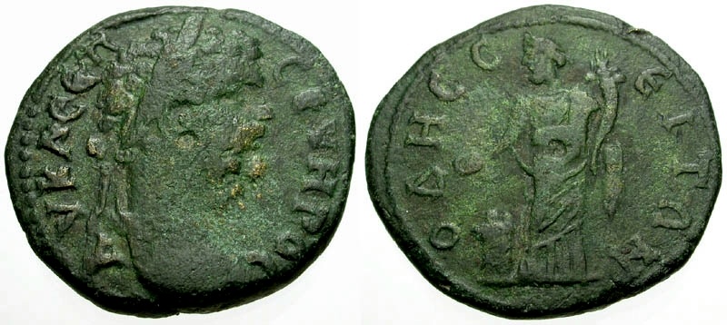 Severus Odessus AE MB.jpg
