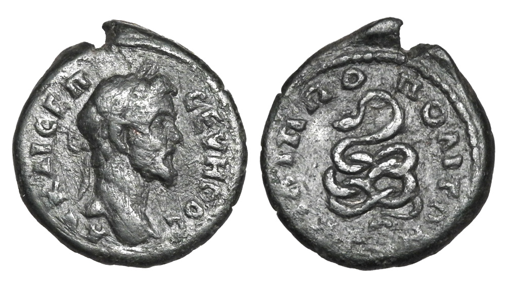 severus serpent.jpg