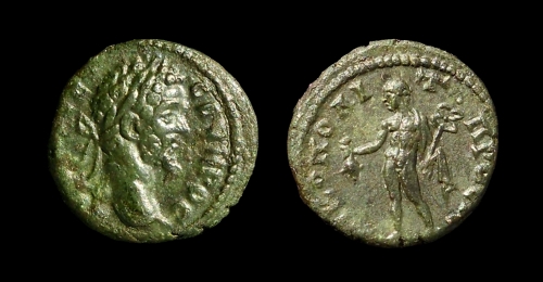 severus500.jpg