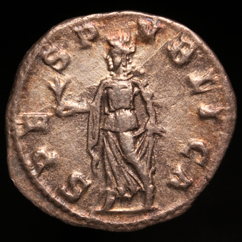 SeverusAlex339R.jpg