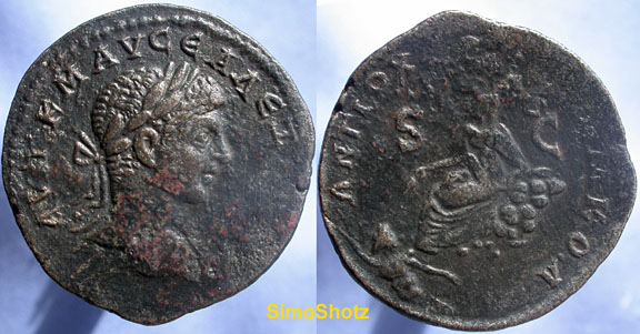 SeverusAlexander.jpg