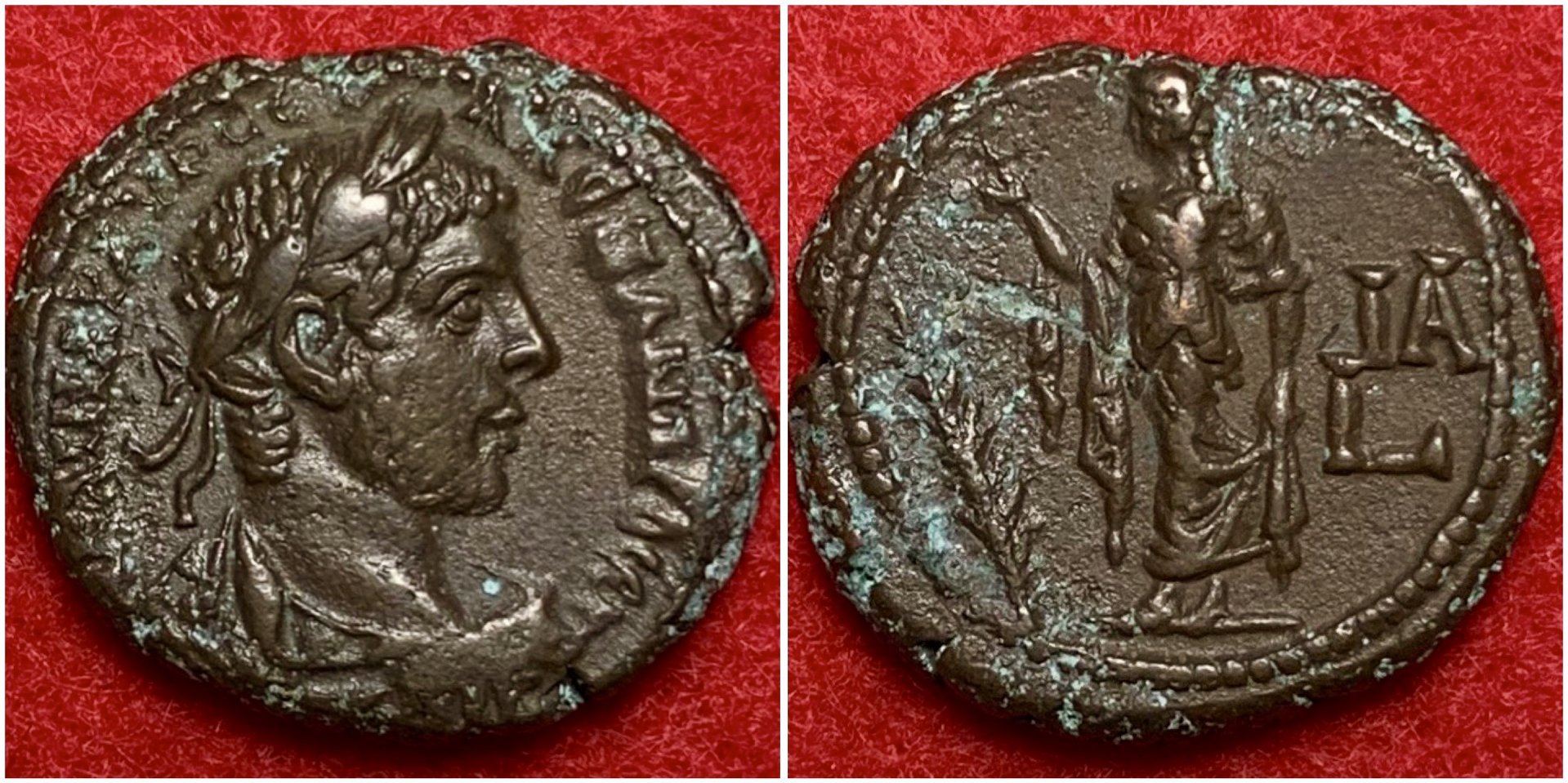 SeverusAlexanderEmmett3101.jpg