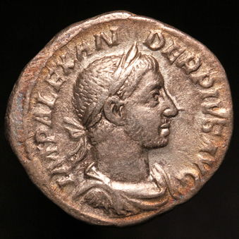 SeverusAlexO1x339.jpg