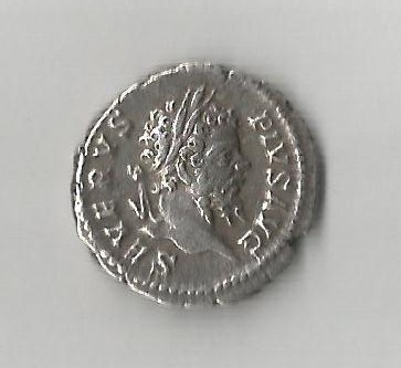 SevLion OCartg Ric4-266.jpg