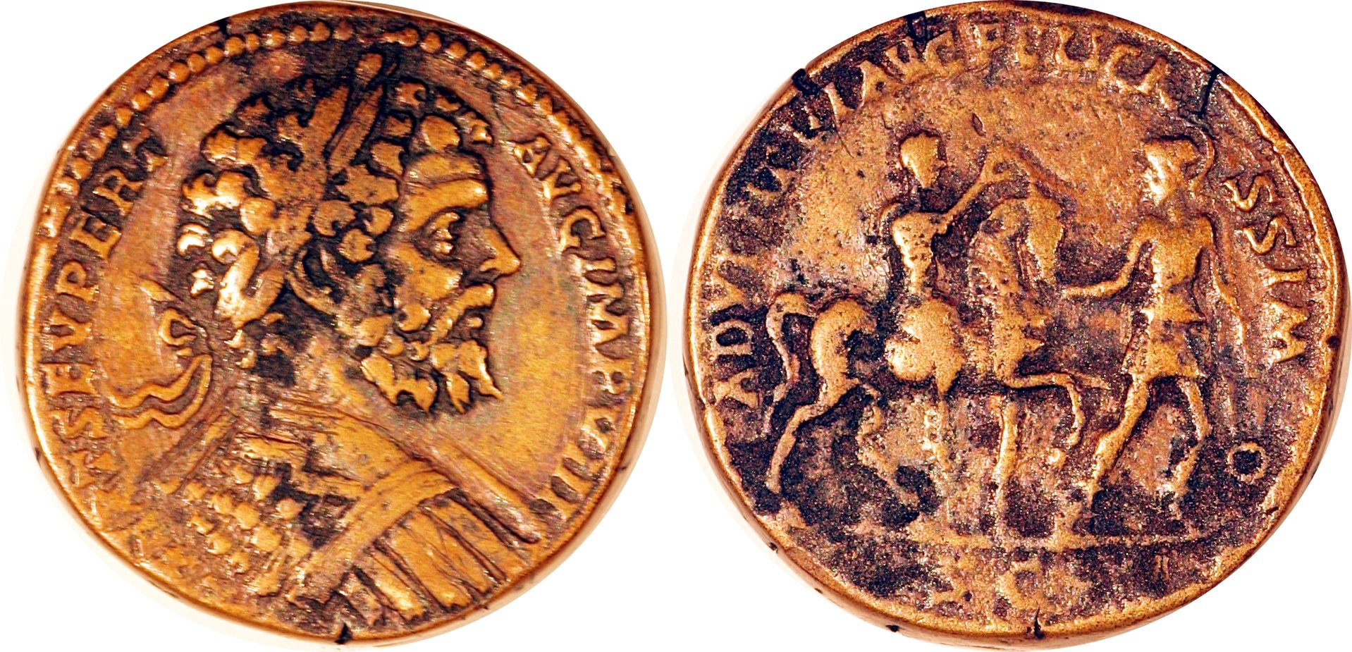 sevobv-horz.jpg