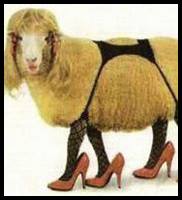 Sexy goat.jpg