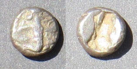 SG4683cLydiaPersianKingTiny14113.jpg