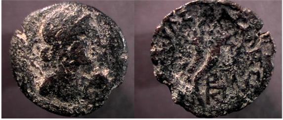 sg7957.jpg