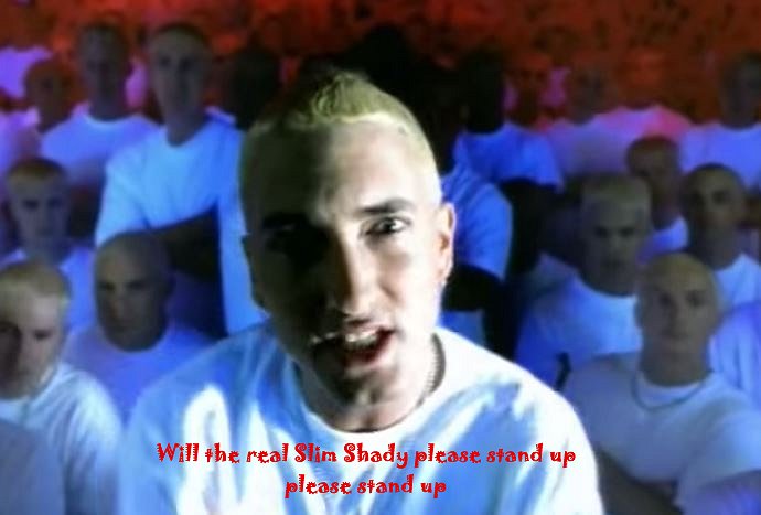 shady.jpg