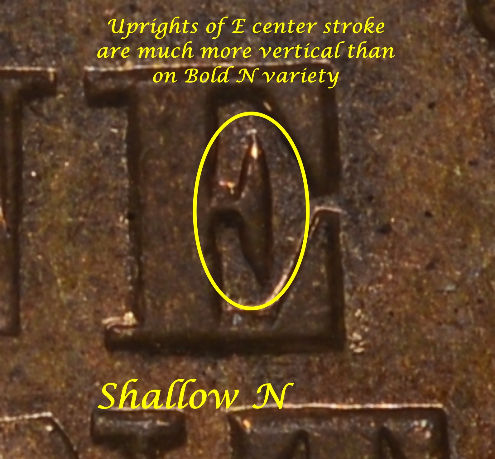 Shallow N Depiction.jpg