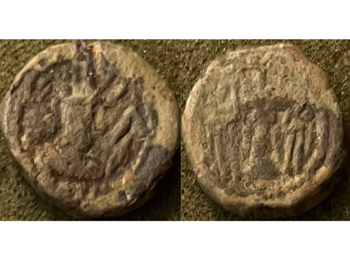 Shapur II lead.jpg
