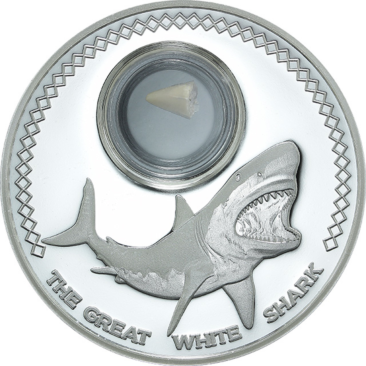 SharkTooth__97162.1503582903.jpg