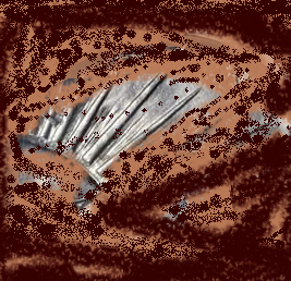 SharpsburgFind-teaser.png