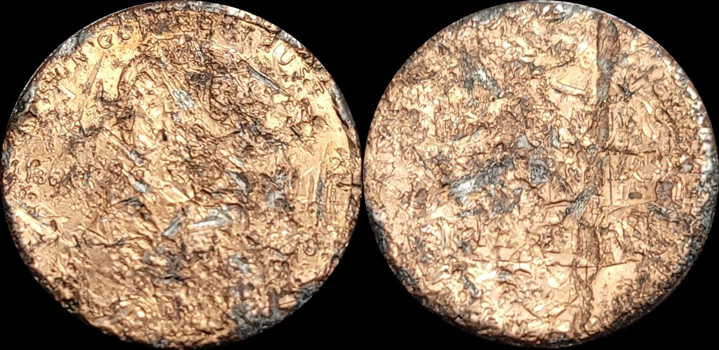 Sheild 1-horz.jpg