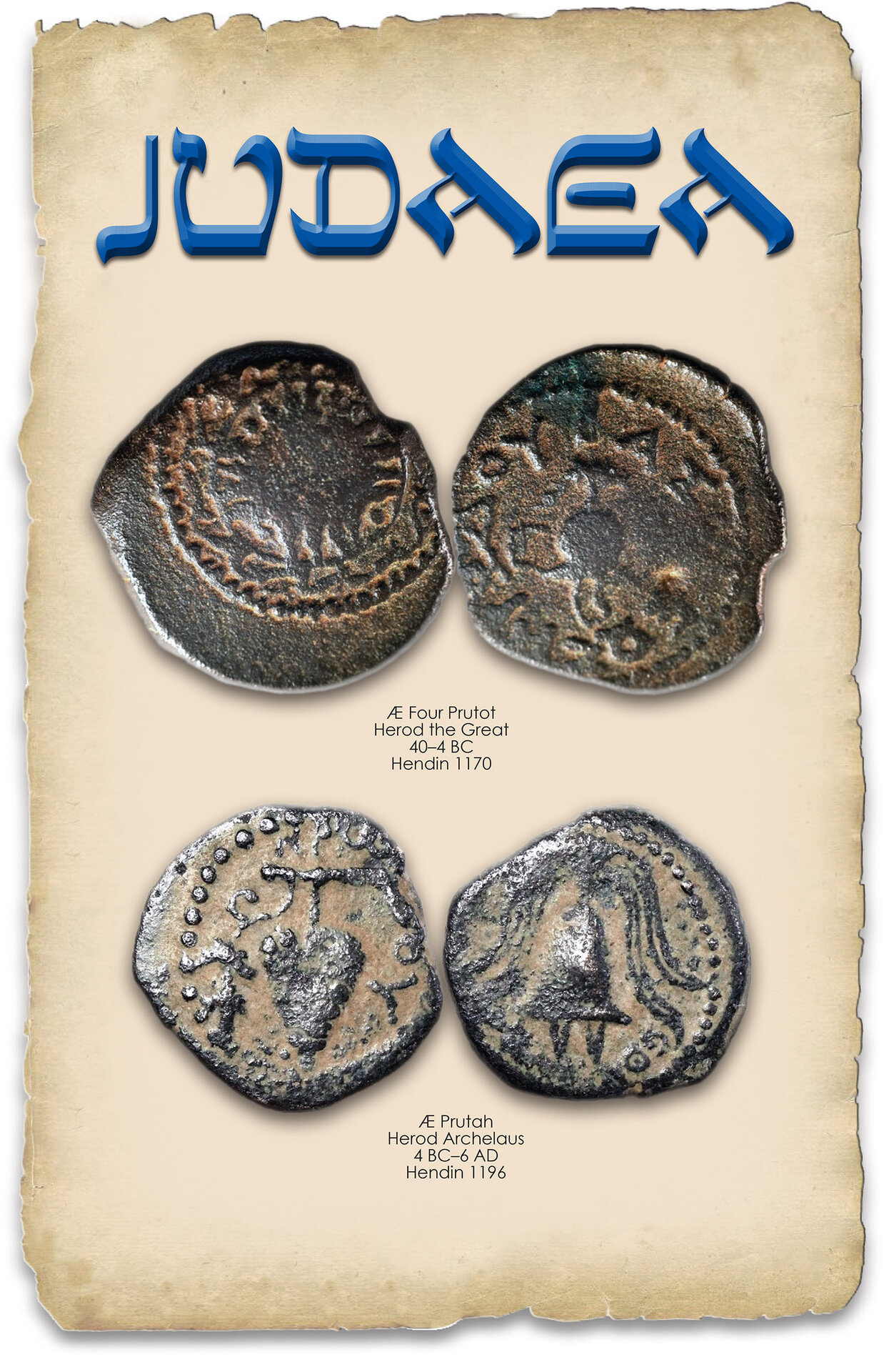 SHEILD_JUDAEAN.jpg