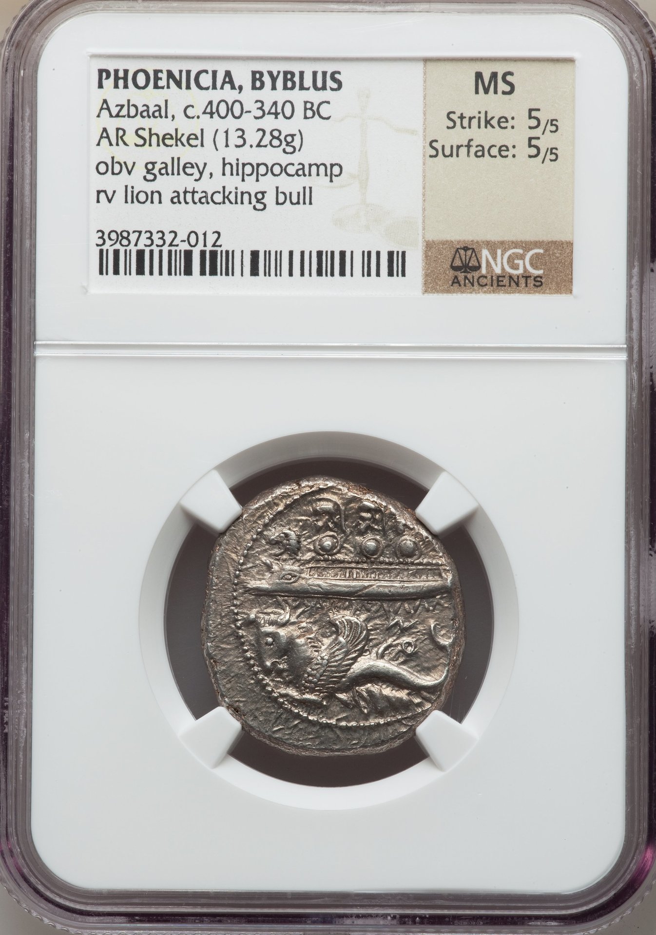 shekel MS 5+5.jpg