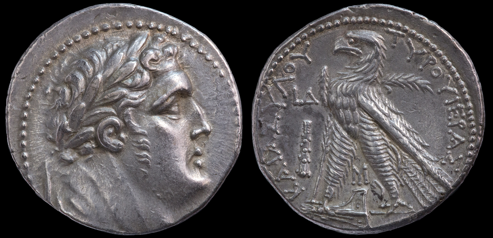 Shekel Year4.jpg