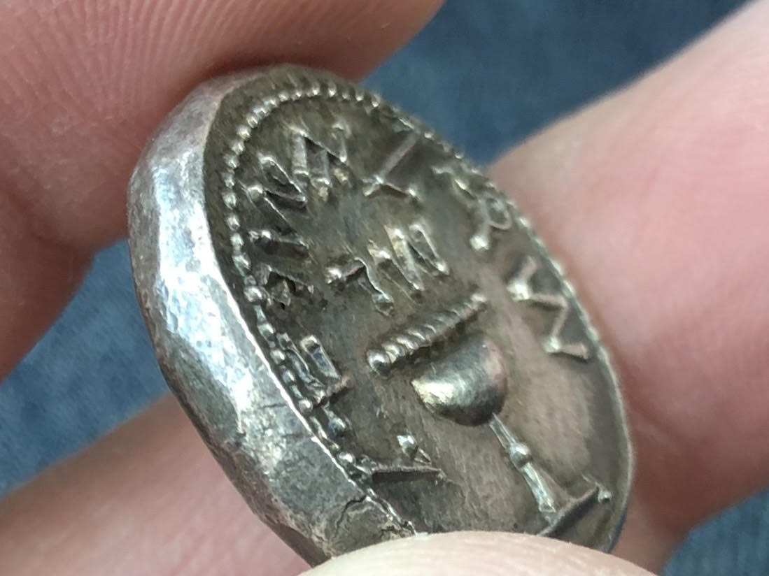 ShekelS.jpg