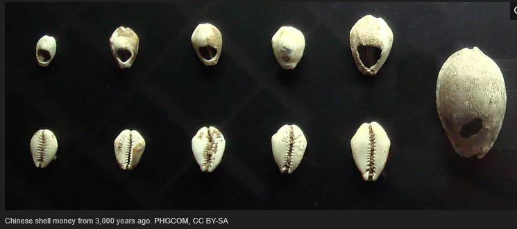 shell money.JPG