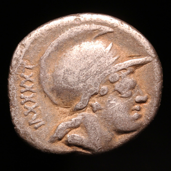 SheWolfRRDenarius339xO1.jpg