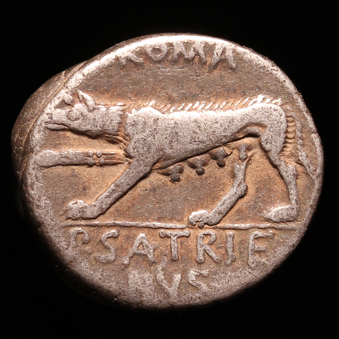 SheWolsRRDanarius339xR1.jpg