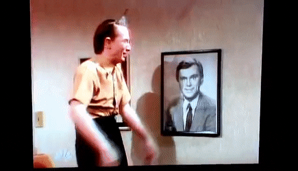 ShimmeringUniformAtlasmoth-small.gif