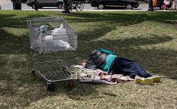 shopping cart.jpg
