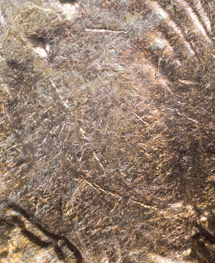 Shoulder-Detail.jpg