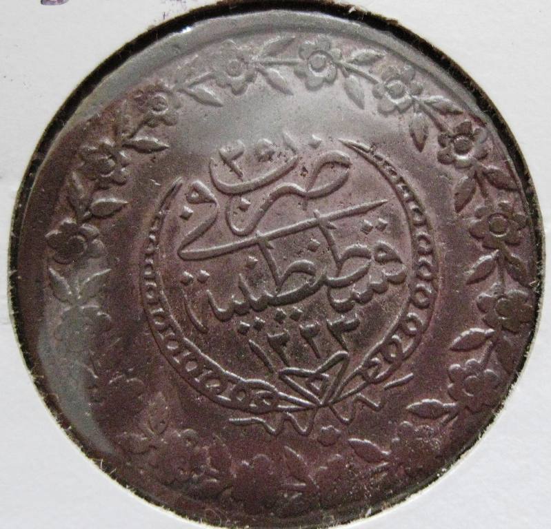 SHTUR003#2.JPG